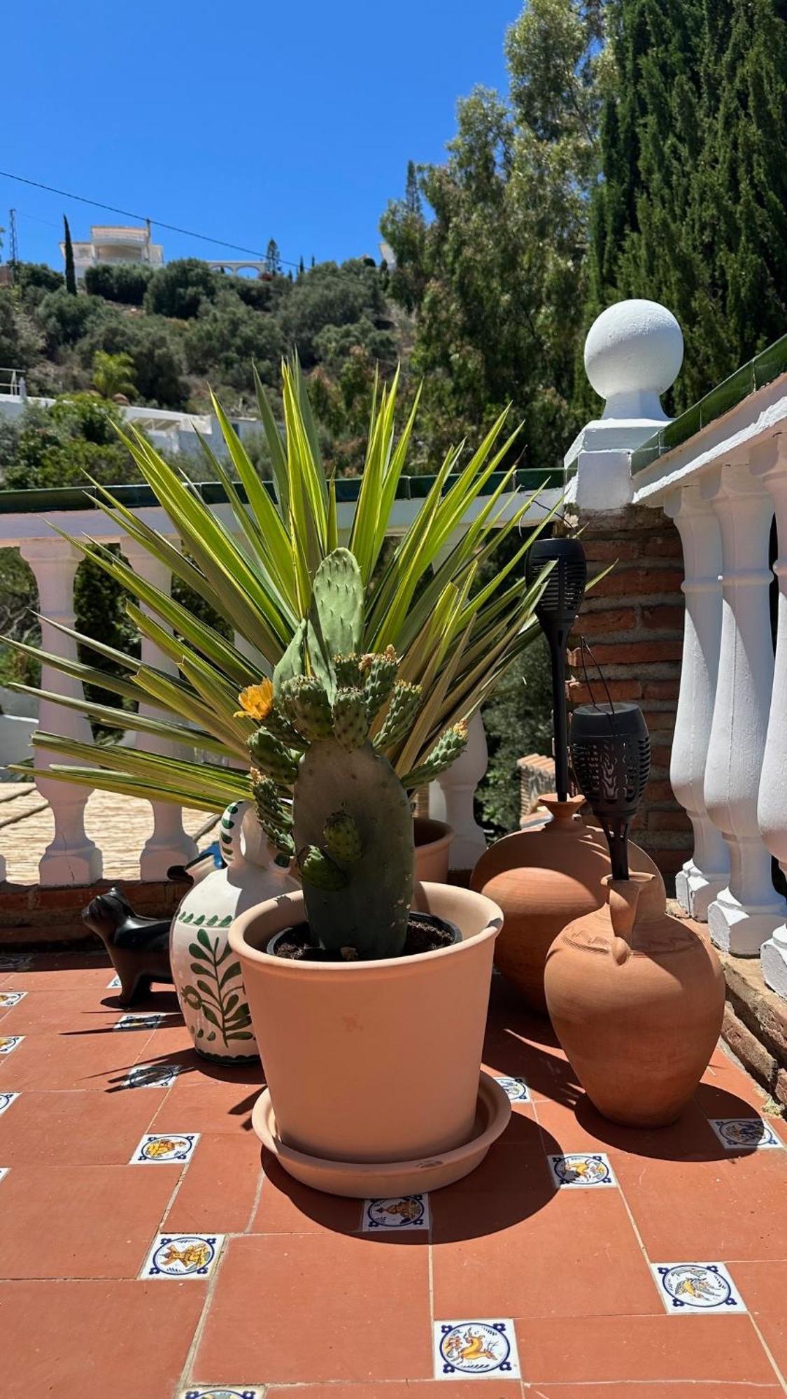 Jina Holiday home